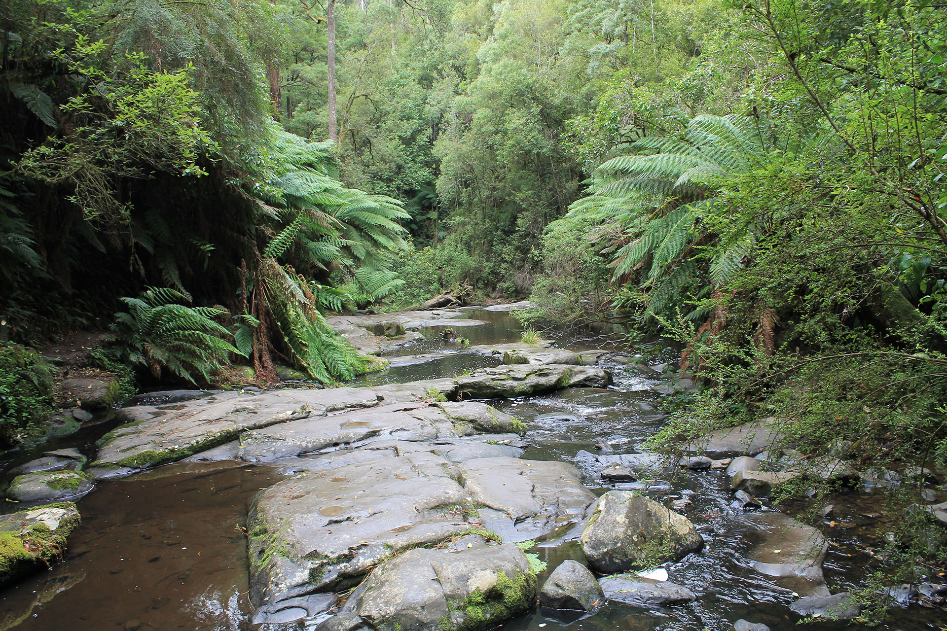 Great Otway National Park
